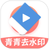 青青去水印v1.2多平台批量解析,图集视频混合解析