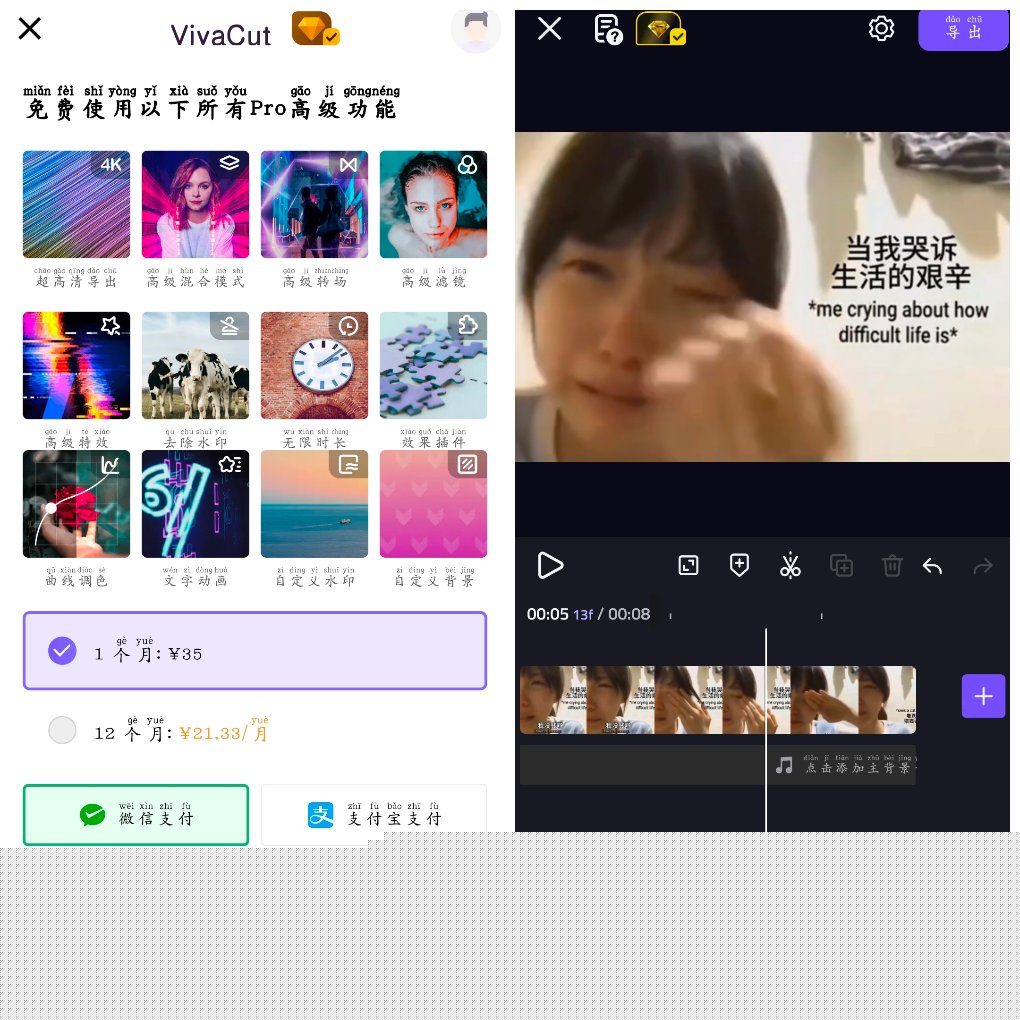 VivaCut视频剪辑v3.9.9会员版&ensp;&ensp;一款专业的视频编辑器 图1